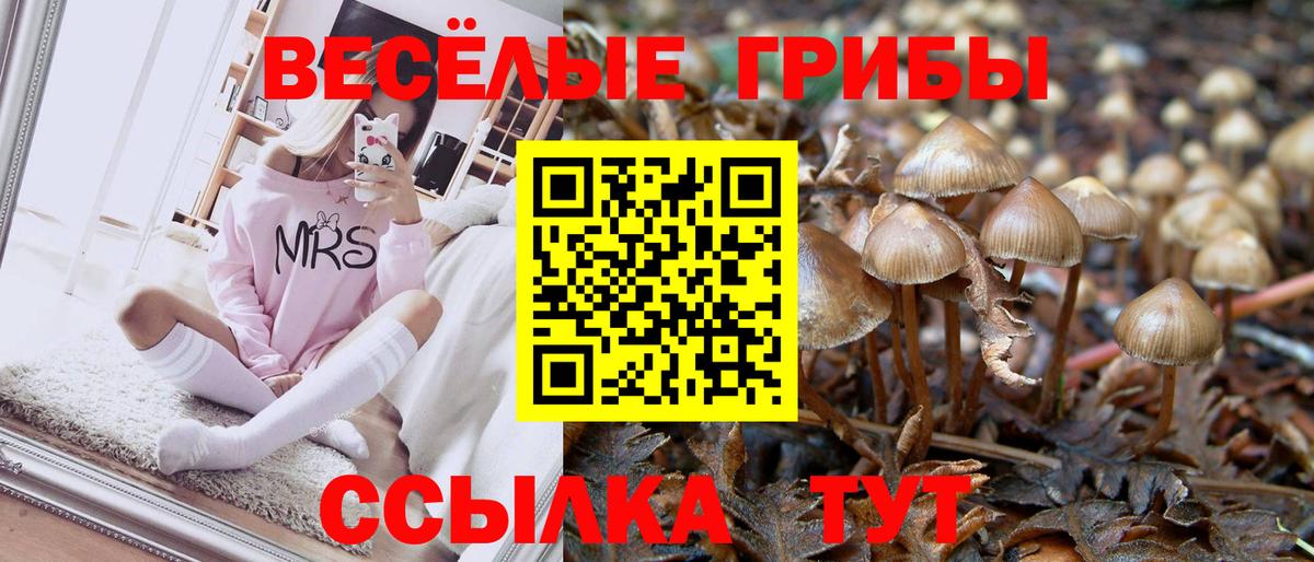 Псилоцибиновые грибы GOLDEN TEACHER  Псилоцибиновые грибы ЛСД  Минусинск  Вход с VPN 