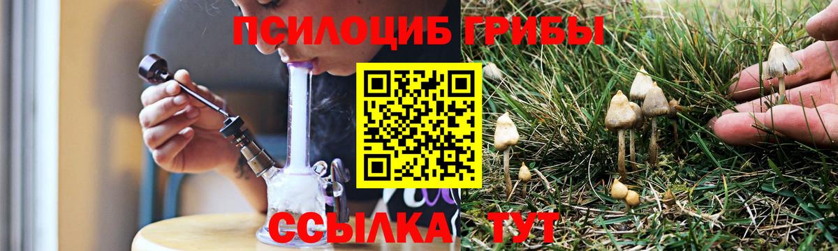 Галлюциногенные грибы мицелий Минусинск